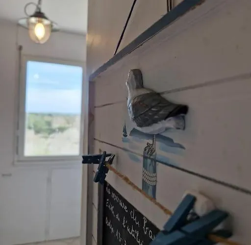 - Marina 4 - 17 Allee Des Pinons - 5-2 * סן ז'אן דה מון